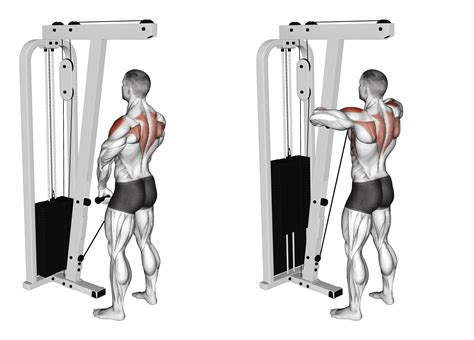 free johnny sins onlyfans leaked