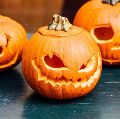 pumpkin_rebel leaked