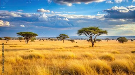 savanna cannon onlyfans leak naked