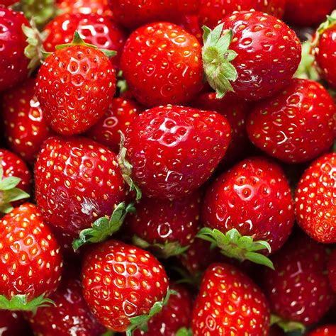 strawberry onlyfans porn