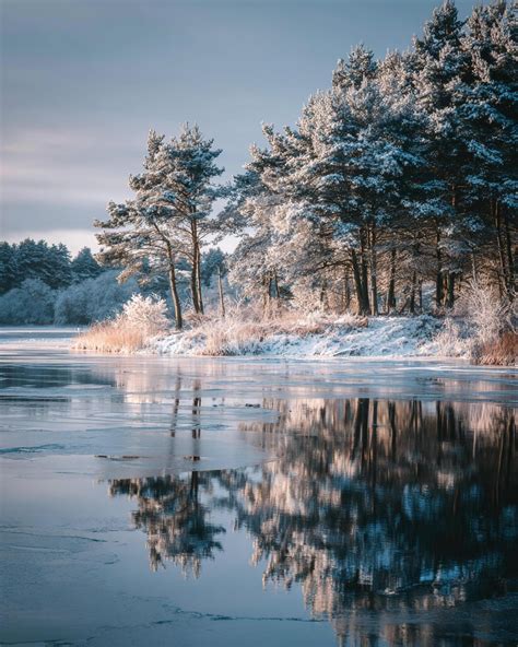 winter.renee onlyfans leak